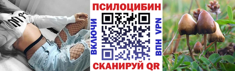 магазин    Лермонтов  Галлюциногенные грибы Cubensis 