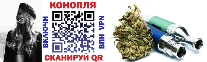 купить   Лермонтов  МАРИХУАНА сатива 